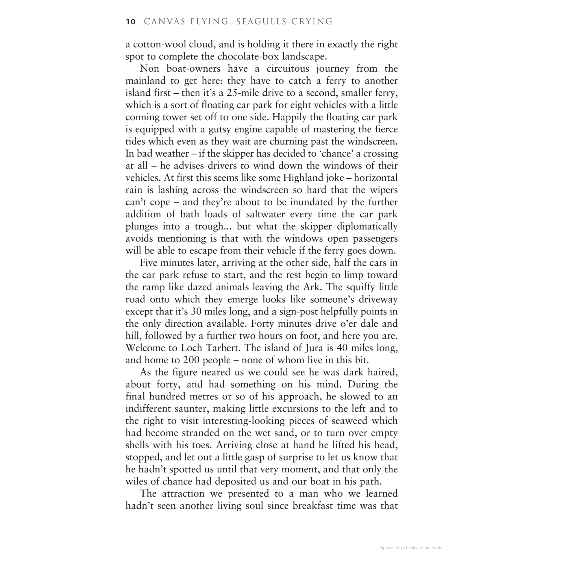 Canvas Flying, Seagulls Crying - Image 10