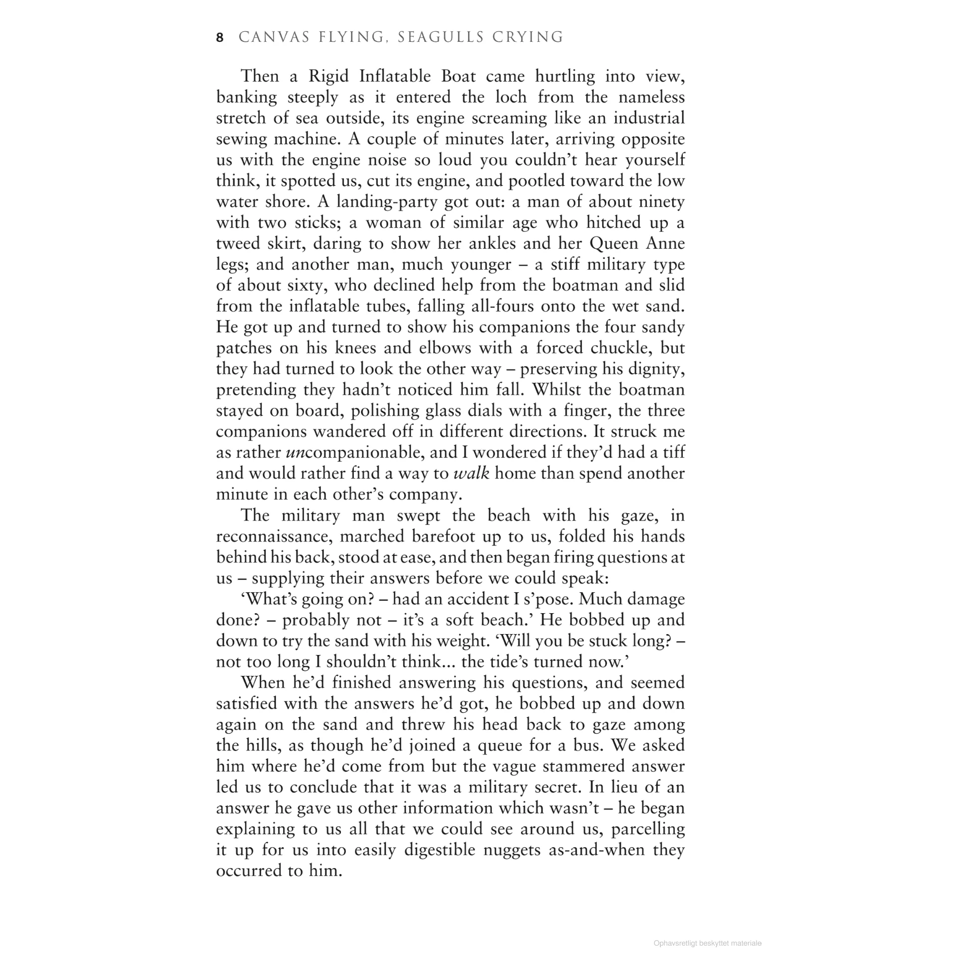 Canvas Flying, Seagulls Crying - Image 8