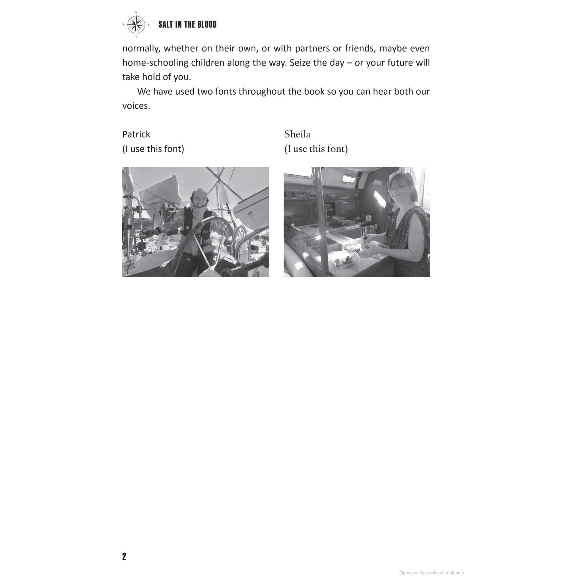 Salt in the Blood - Image 4